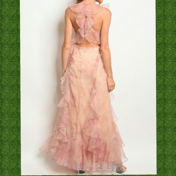 Blush Nude Dress 101 - Picture 3 of 5